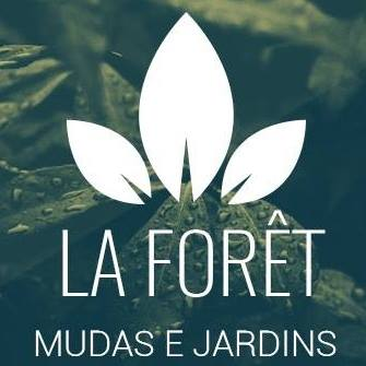 La Forêt Flores